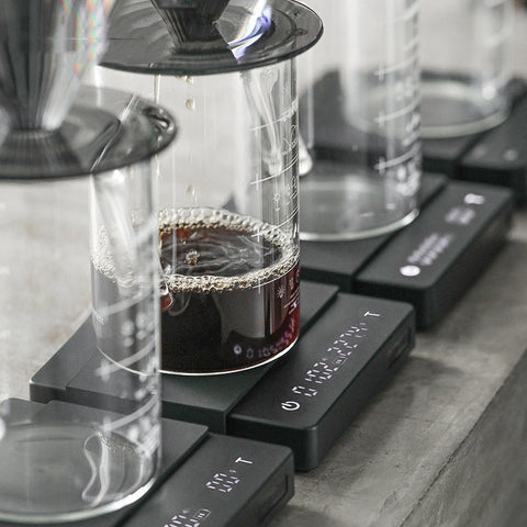 The Excelsior Brew Kit